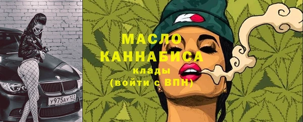 крисы Мегион