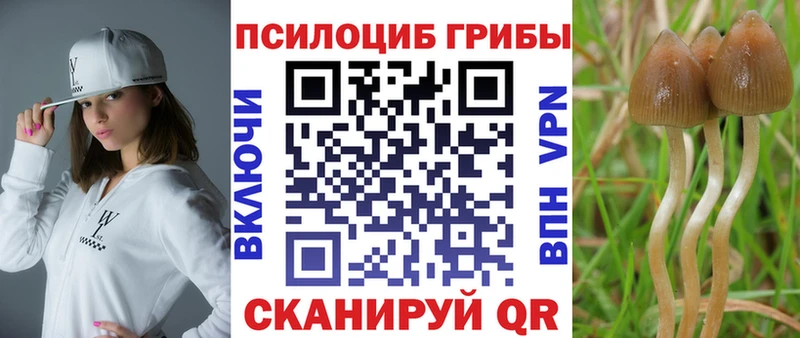 даркнет какой сайт Озёрск Галлюциногенные грибы Psilocybe omg ТОР